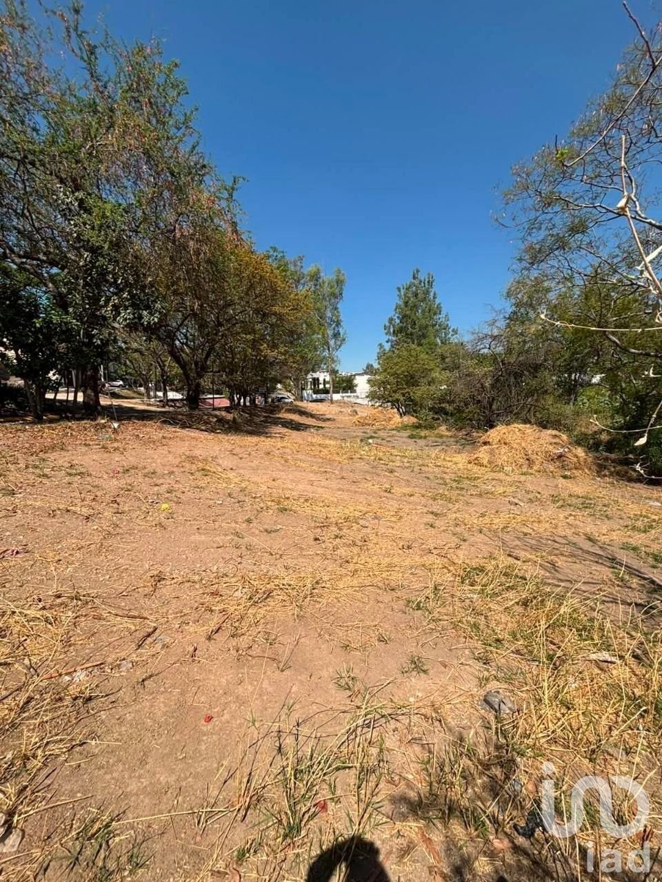Land in Zapopan, Jalisco, Mexico 1 - 18949022