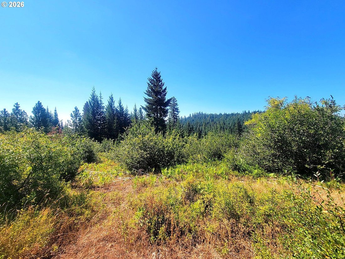 Land in Goldendale, Washington, United States 3 - 18954114
