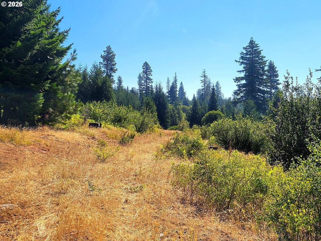 Land in Goldendale, Washington, United States 1 - 18954114