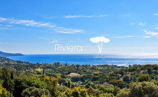 Estate in Nord, Cavalaire-sur-Mer, France 1