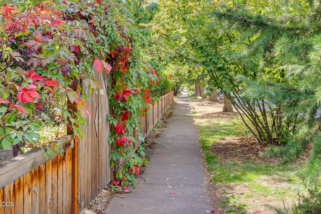 Ashland, Oregon, United States 2 - 18952020