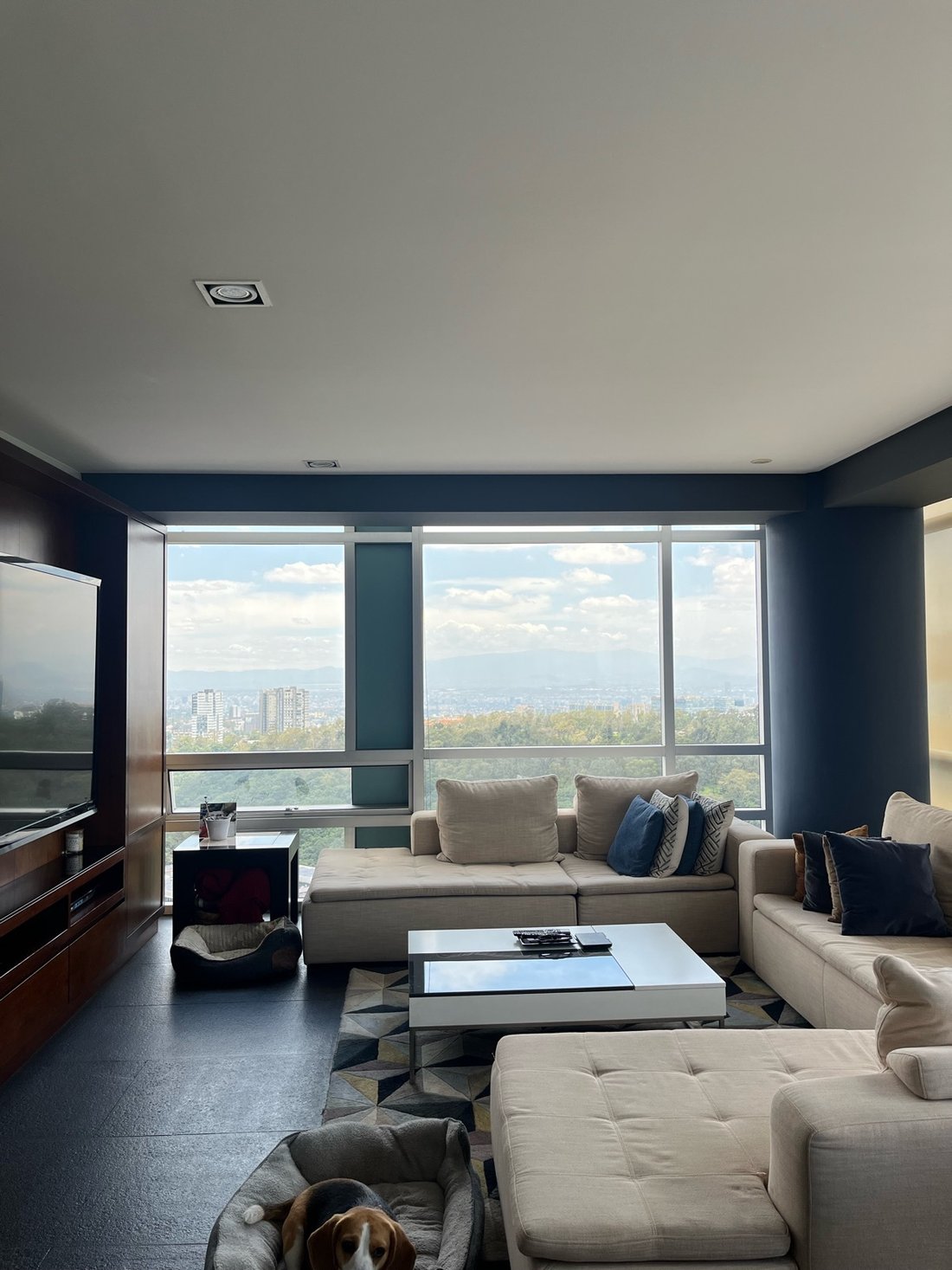 Apartment in Mexico City, Mexico 3 - 18954243