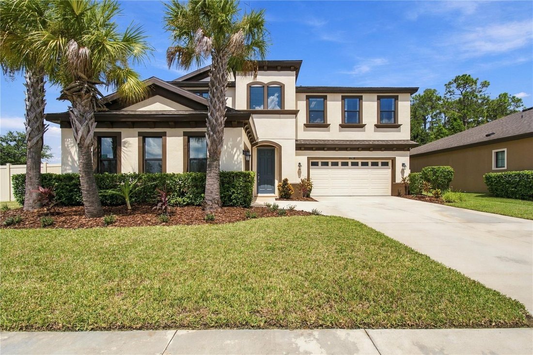 House in Land O' Lakes, Florida, United States 2 - 18952268
