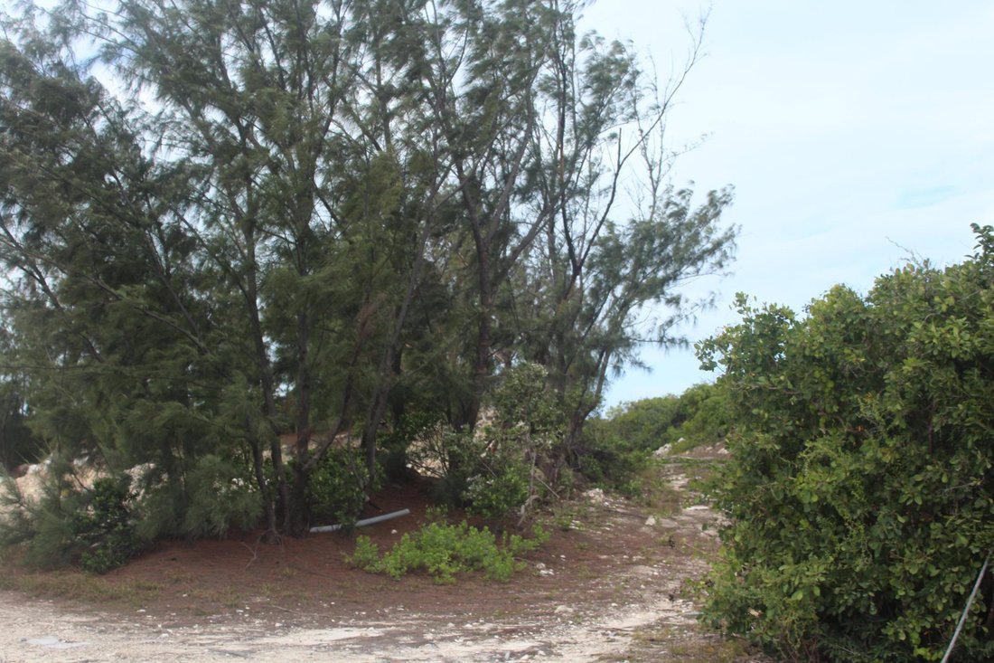 Land in Black Point, Black Point, The Bahamas 5 - 18955257