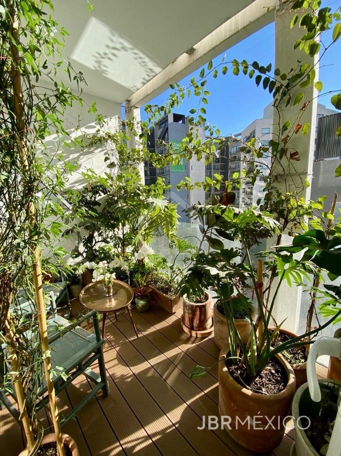 Apartment in Mexico City, Mexico 5 - 18954478