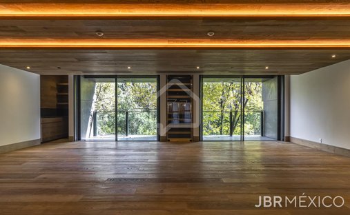 Apartment in Mexico City, Mexico 1