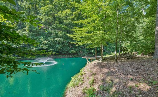 House in Hampshire, Tennessee, United States 1