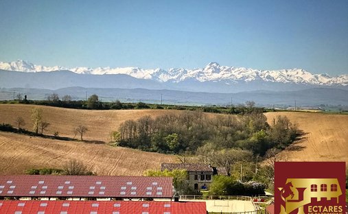 House in Gaillac-Toulza, Occitania, France 1