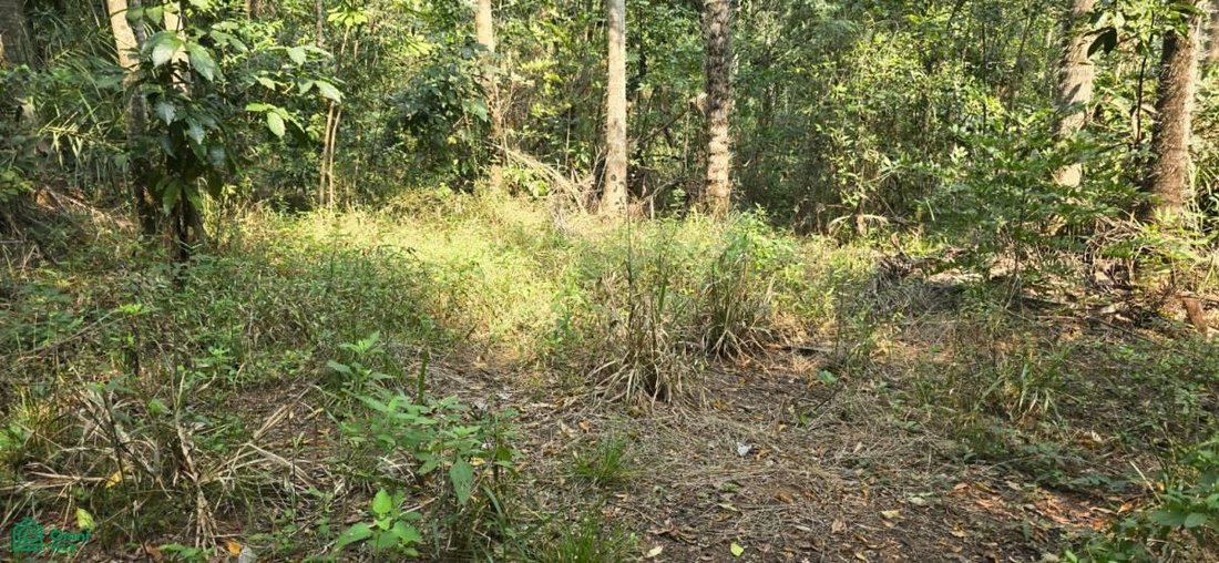 Land in Paso Pe, Cordillera Department, Paraguay 5 - 18953038