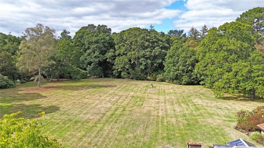 Bungalow in New Forest, Lyndhurst, England 4 - 18948734