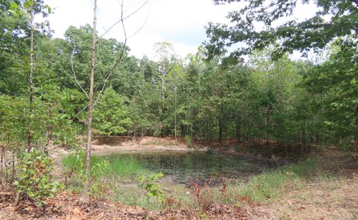 Land in Tahlequah, Oklahoma, United States 1