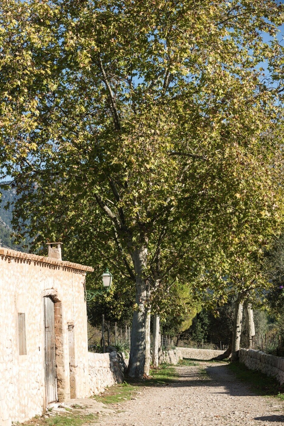 House in Bunyola, Balearic Islands, Spain 4 - 18950259