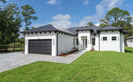 House in Naples, Florida, United States 1