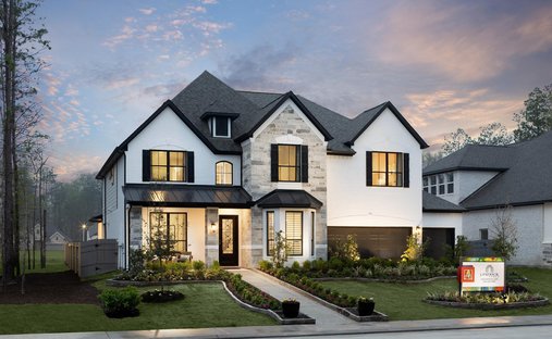 House in Willis, Texas, United States 1