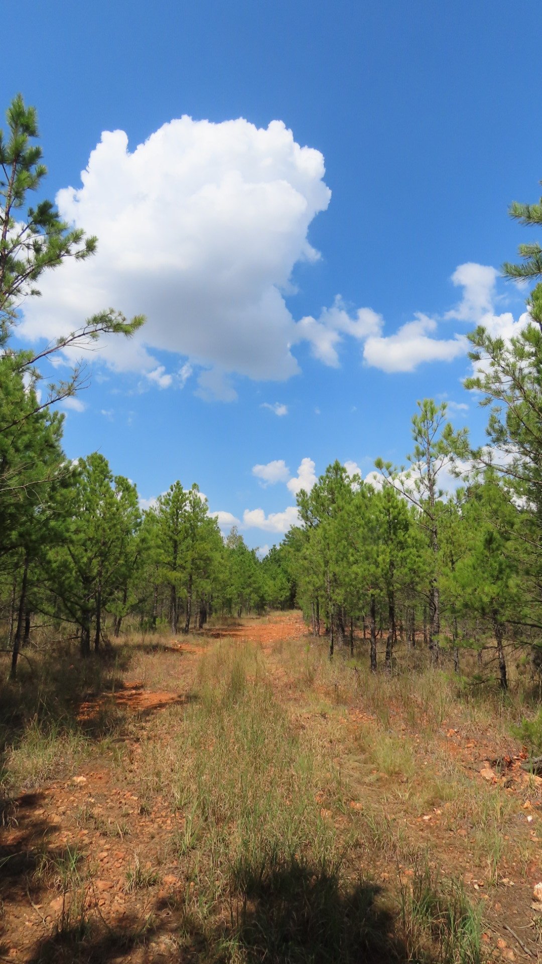 Land in Tahlequah, Oklahoma, United States 4 - 18950870