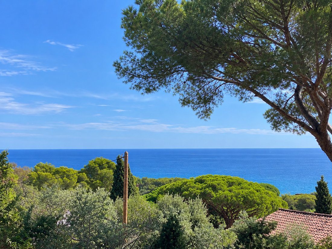 House in Nartelle-Noyer-Bellevue-bd des Sardinaux, Sainte-Maxime, France 1 - 16626997