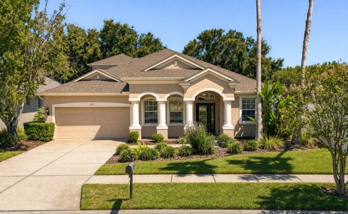 House in Wesley Chapel, Florida, United States 1