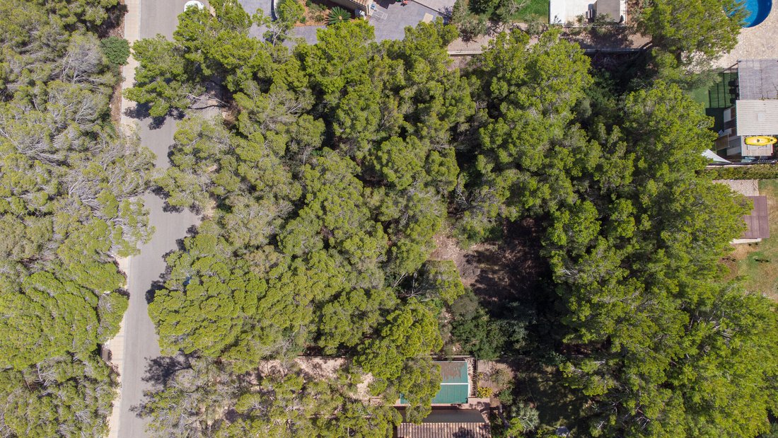 Villa in Sol de Mallorca, Calvia, Balearic Islands 3 - 18954799