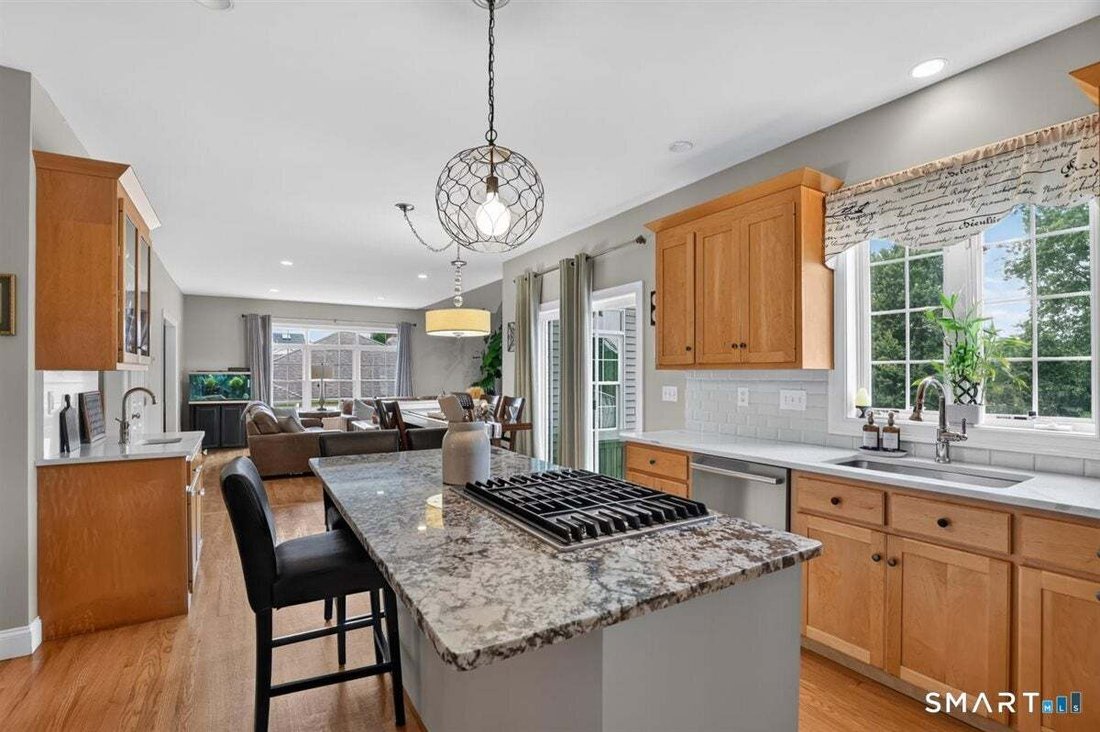 House in Rocky Hill, Connecticut, United States 4 - 18951257