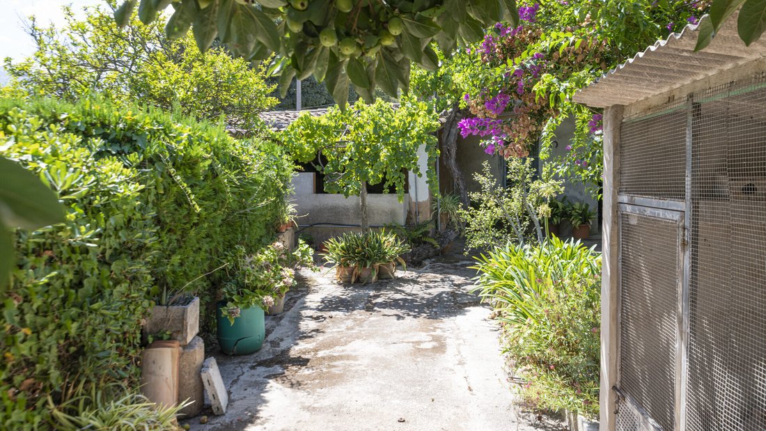 Finca in Soller, Balearic Islands, Spain 3 - 18954325