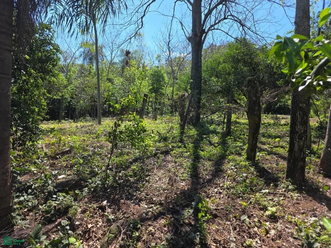 Land in Paso Pe, Cordillera Department, Paraguay 2 - 18953038