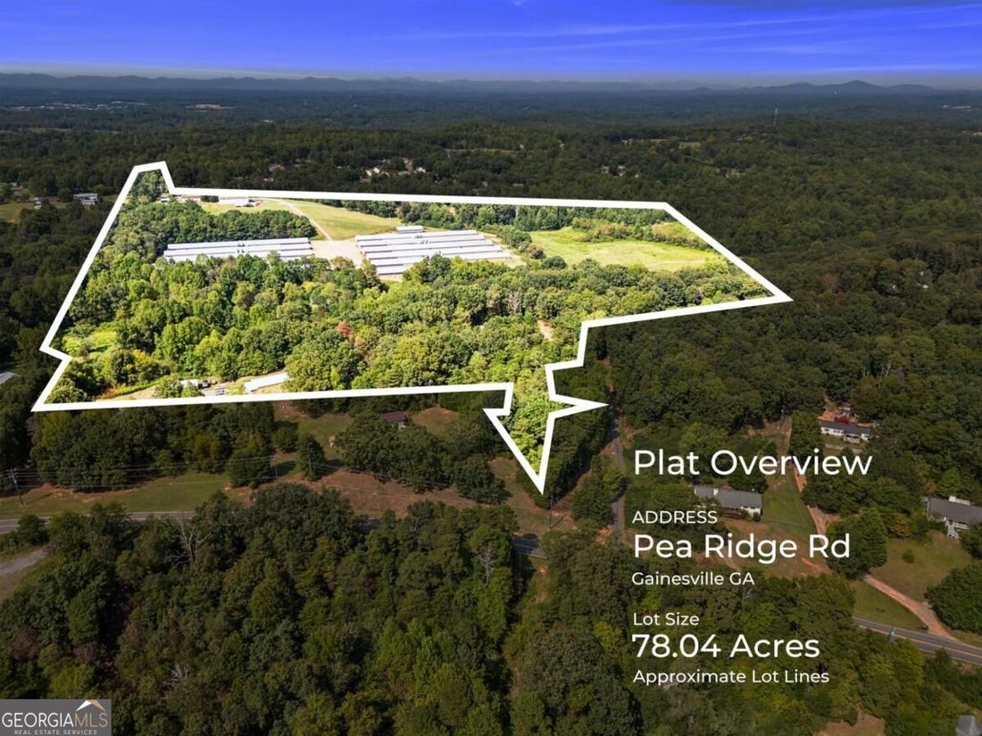 Farm Ranch in Gainesville, Georgia, United States 1 - 18954071