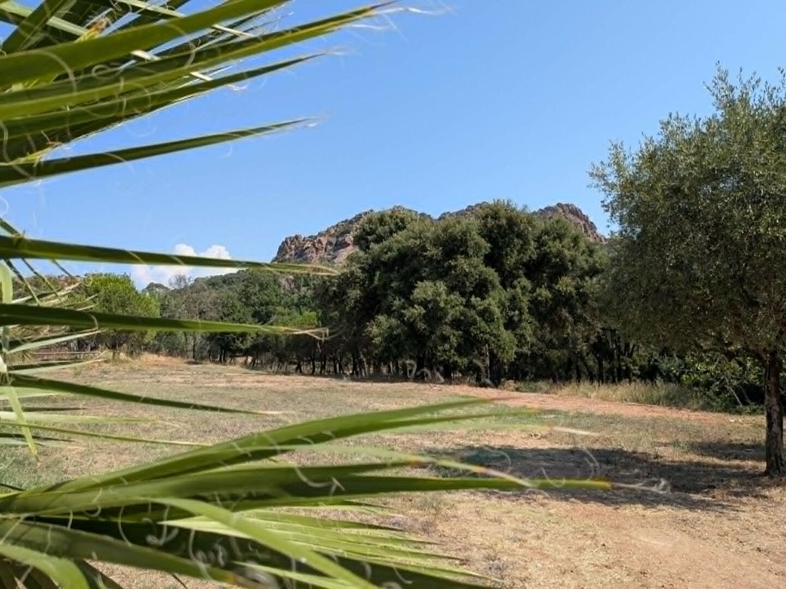 Villa in Ecarts, Roquebrune-sur-Argens, France 3 - 18955112