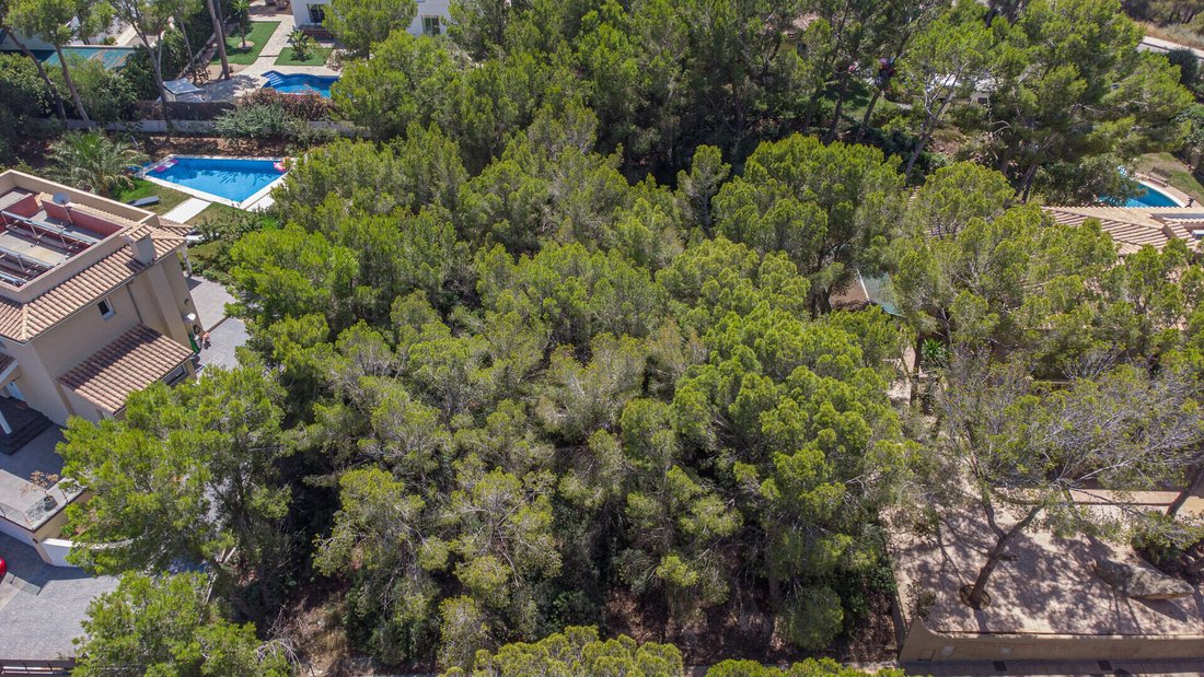 Villa in Sol de Mallorca, Calvia, Balearic Islands 5 - 18954799