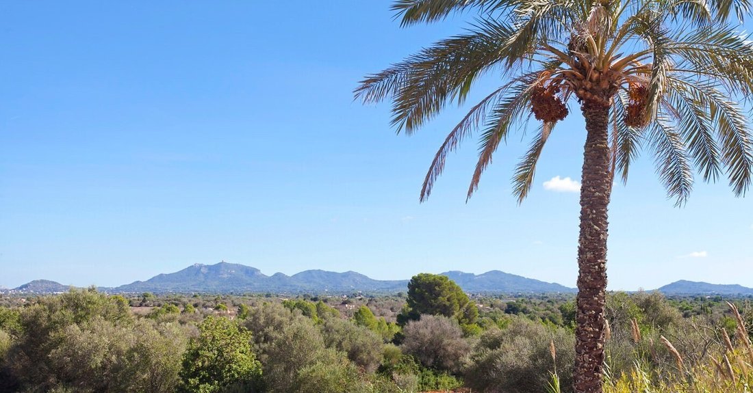 Finca in Felanitx, Balearic Islands, Spain 3 - 18954167