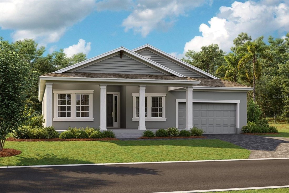 House in Trinity, Florida, United States 1 - 18952262