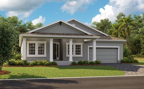 House in Trinity, Florida, United States 1