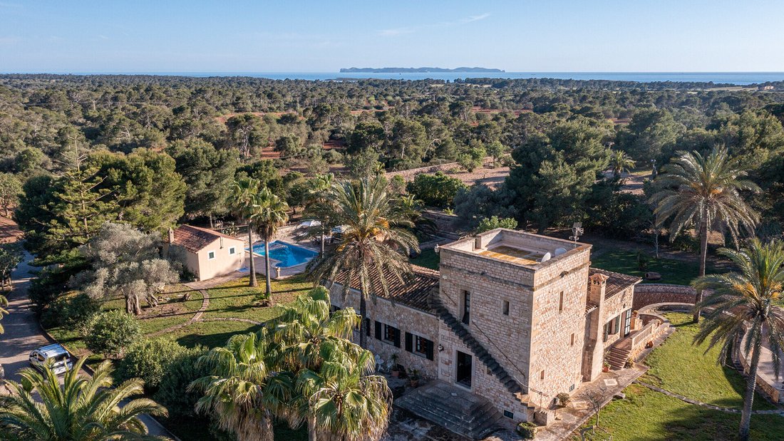 Finca in ses Salines, Balearic Islands, Spain 2 - 18949690