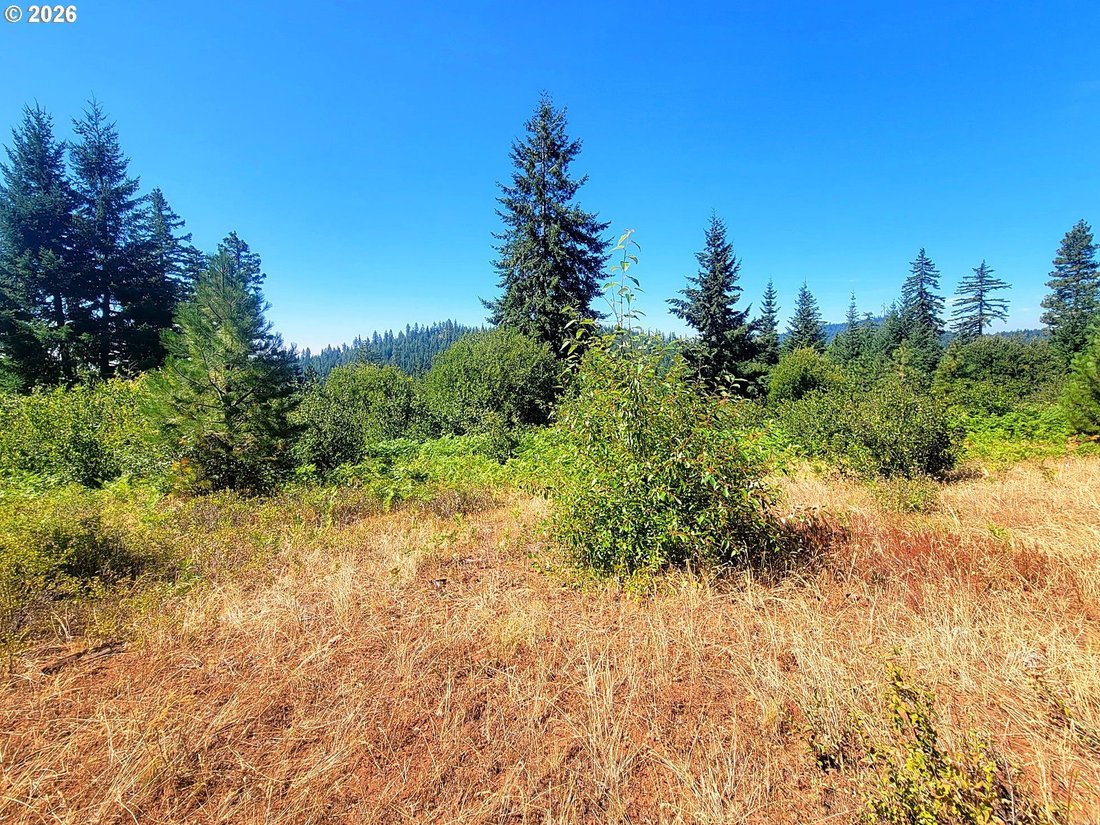 Land in Goldendale, Washington, United States 5 - 18954114