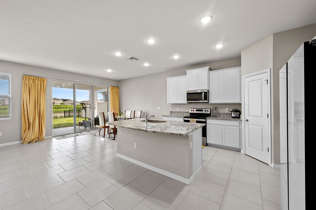 House in Wesley Chapel, Florida, United States 5 - 18950838