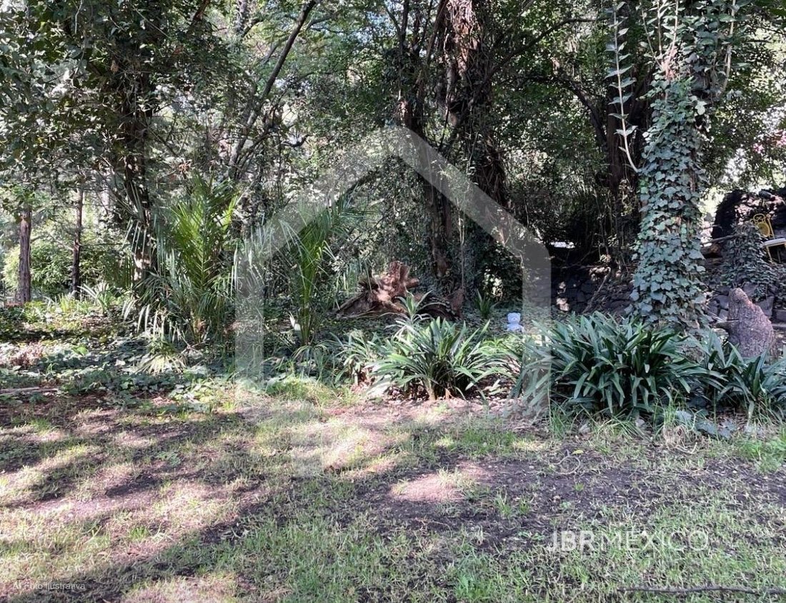 Land in Mexico City, Mexico 5 - 18954202
