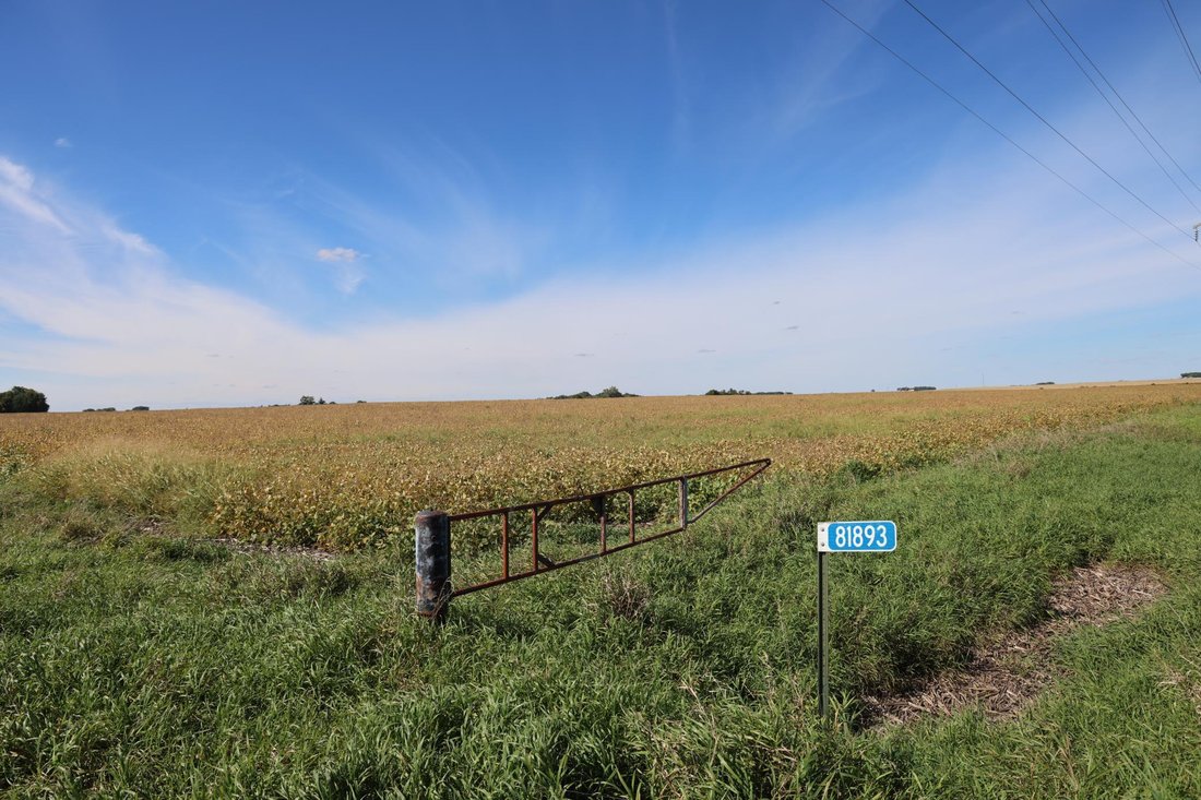 Land in Hector, Minnesota, United States 5 - 18954041