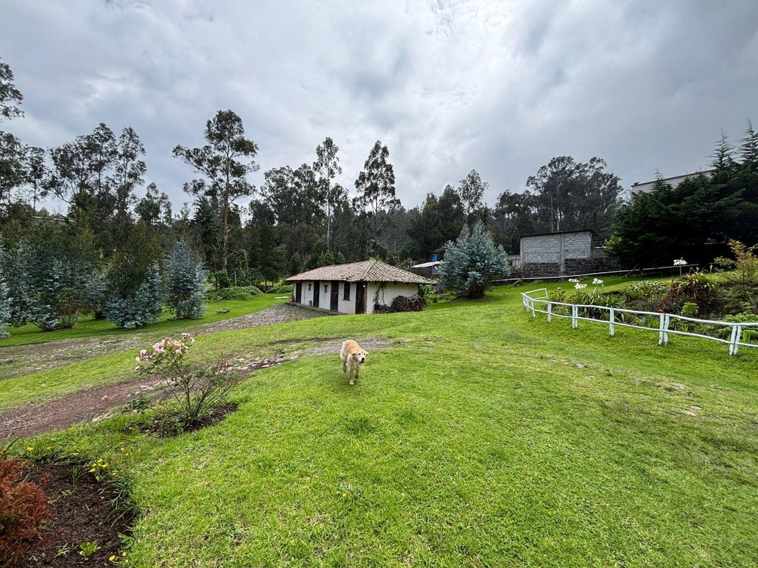 Land in Quito, Pichincha, Ecuador 4 - 18949417