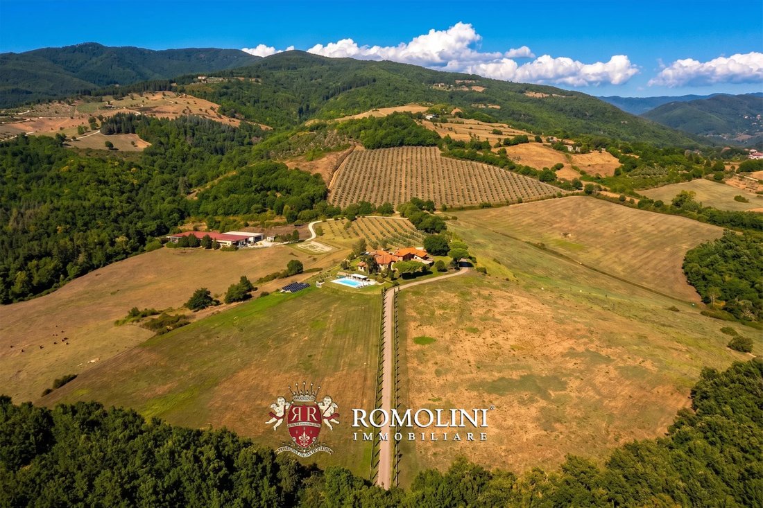 Domaine à Bibbiena, Toscane, Italie 1 - 18924110