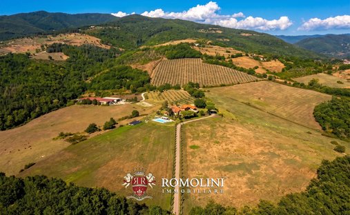Estate in Bibbiena, Tuscany, Italy 1