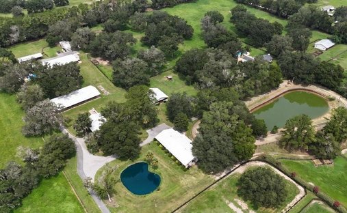 Farm Ranch in Reddick, Florida, United States 1
