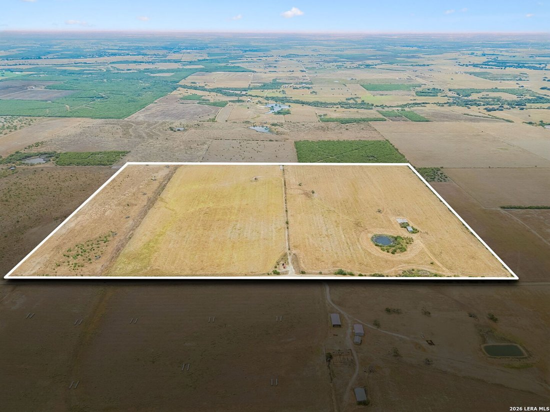 Farm Ranch in Falls City, Texas, United States 2 - 18948878