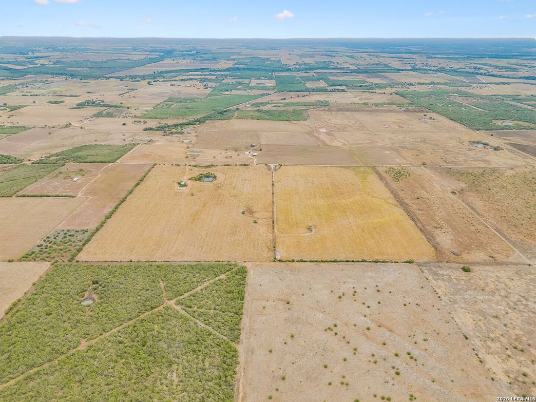Farm Ranch in Falls City, Texas, United States 4 - 18948878