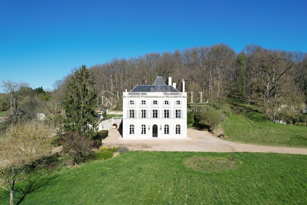 Castle in Lac de Maine-Molière, Angers, France 2 - 18954853