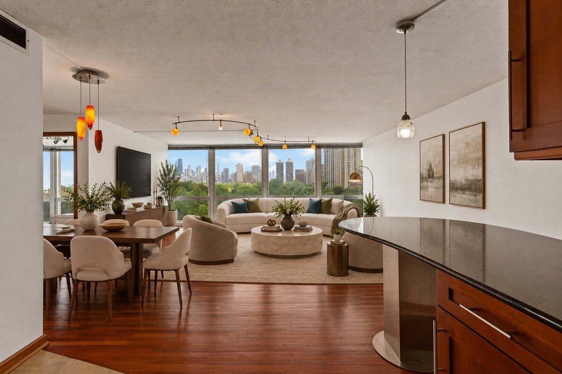 Condo in Chicago, Illinois, United States 4 - 18953317