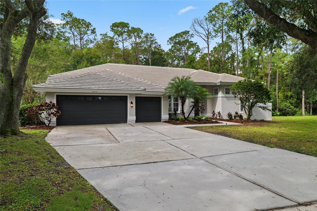House in Palm Harbor, Florida, United States 1 - 18952257