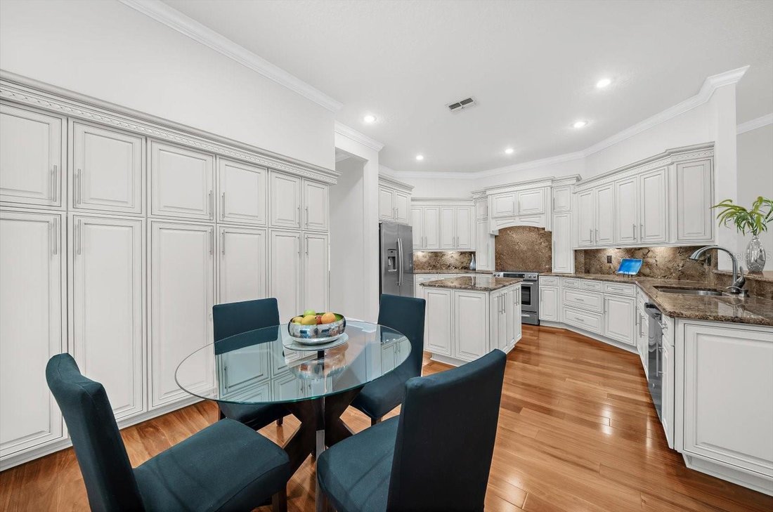 House in Palm Harbor, Florida, United States 5 - 18949095