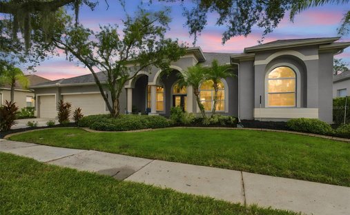 House in Tampa, Florida, United States 1