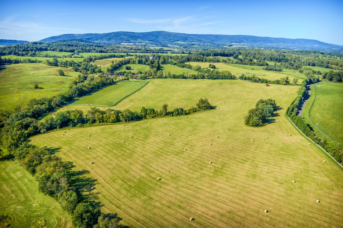 Upperville, Virginia, United States 5 - 16554647