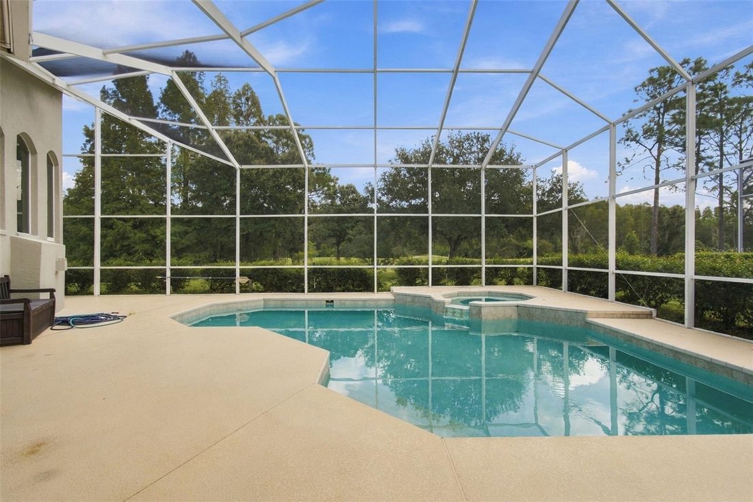 House in Tampa, Florida, United States 3 - 18949082