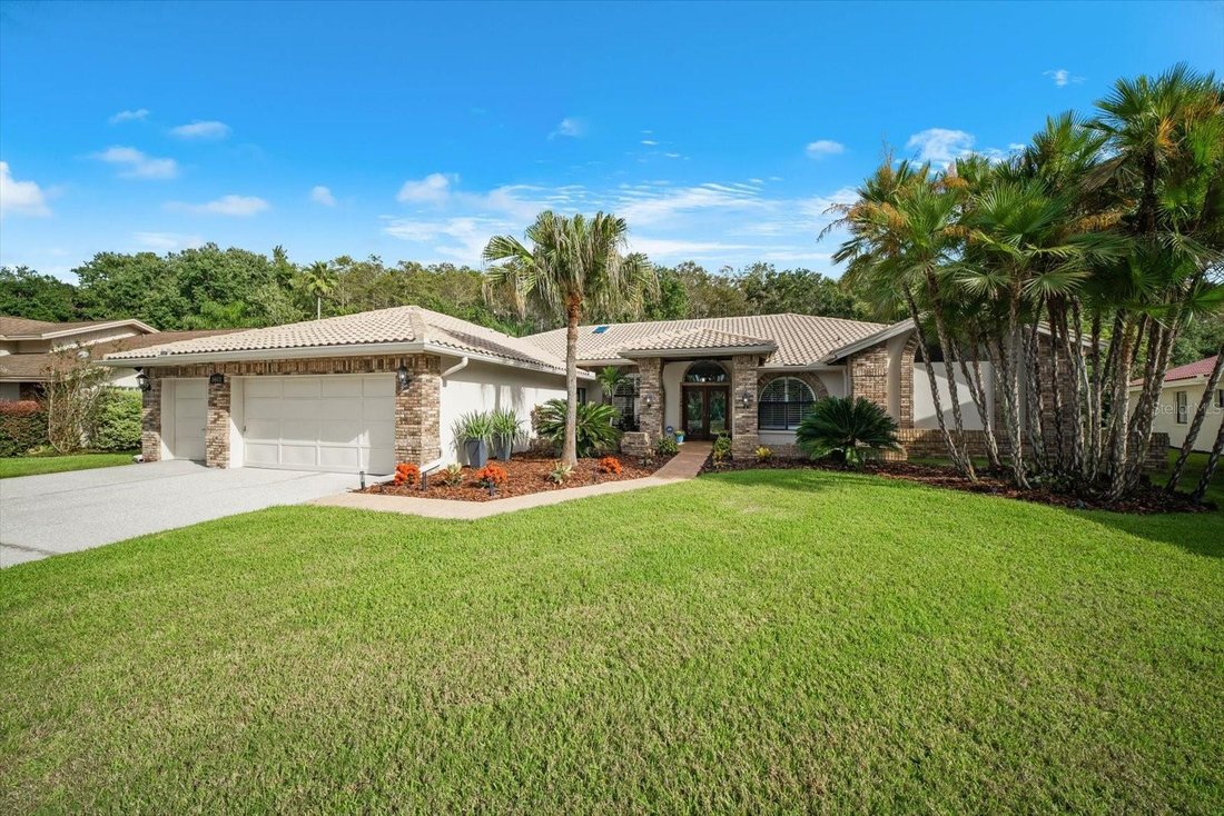 House in Palm Harbor, Florida, United States 1 - 18949095